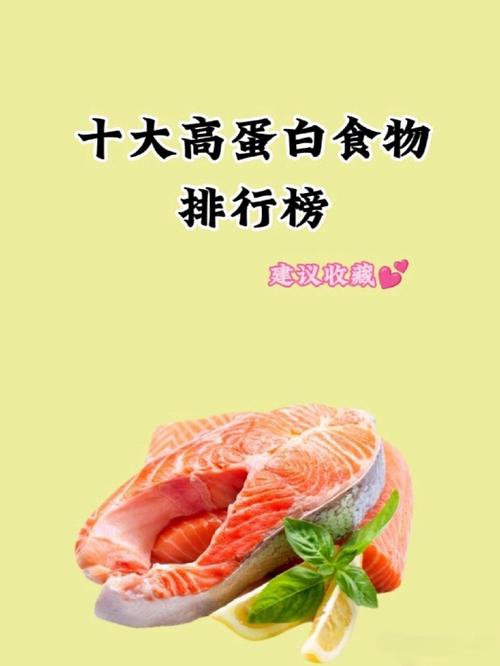高蛋白高维生素食物有哪些?