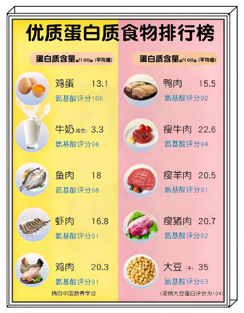 高蛋白高维生素食物有哪些?