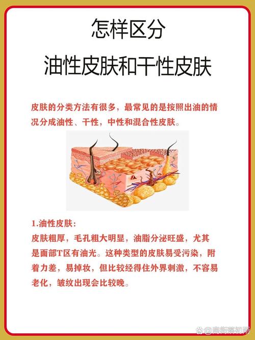 干皮油皮到底哪种皮肤更健康?
