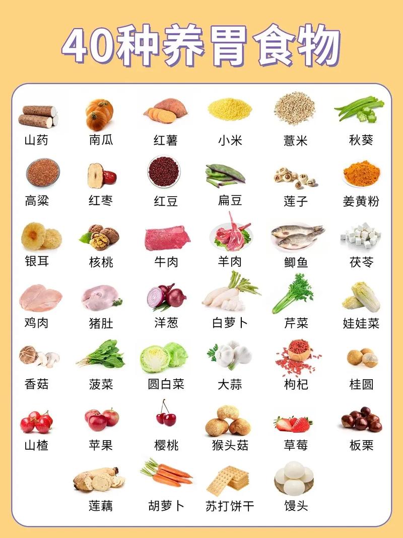 吃什么能养胃还促消化?