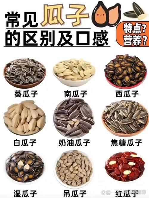 瓜子到底是碱性还是酸性食物?