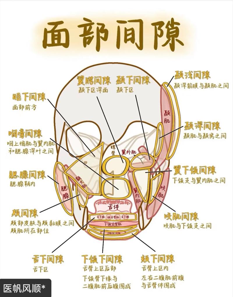 口腔颌面部感染主要途径有哪些?