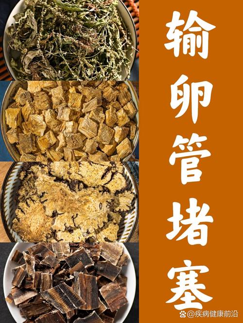 输卵管堵塞吃什么能通?