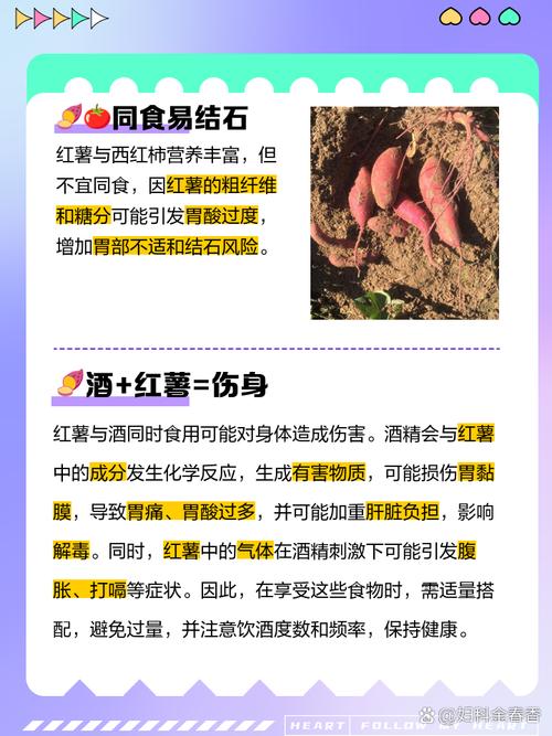 山芋不能和什么食物一起吃