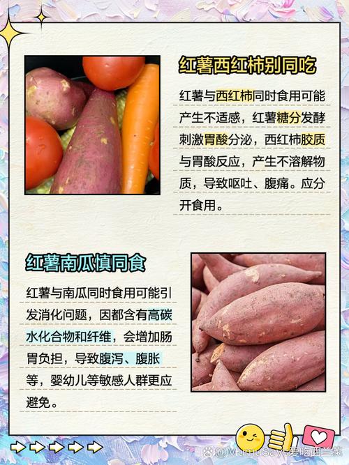 山芋不能和什么食物一起吃