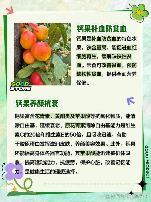 哪些食物水果含钙高?