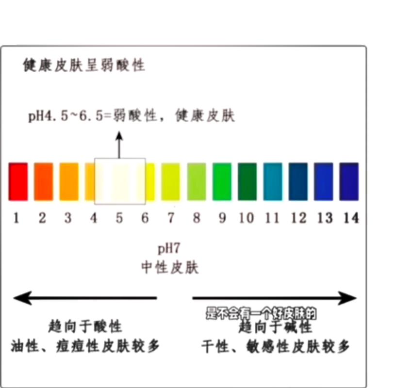 油性皮肤PH值到底是多少?