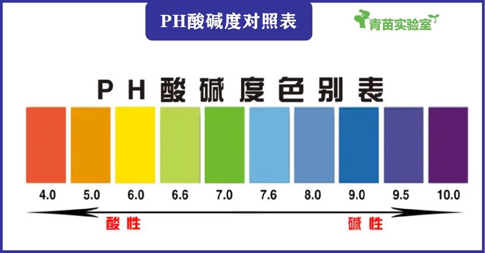 油性皮肤PH值到底是多少?