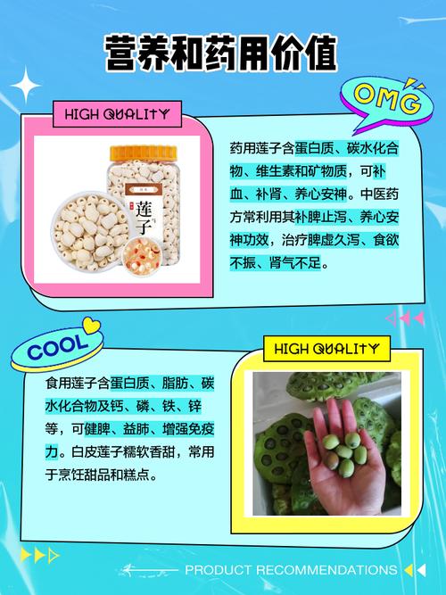 莲子忌与哪些食物同食?