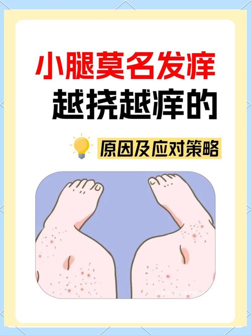 冬天皮肤痒,如何快速止痒?