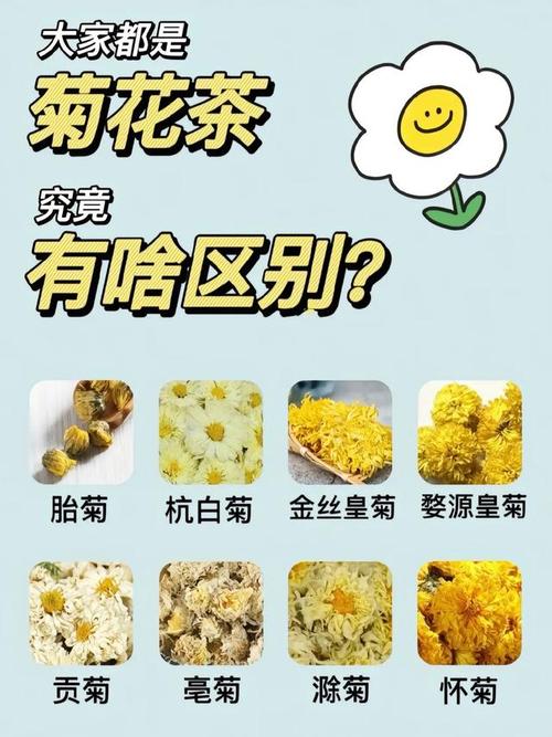 口腔溃疡能喝菊花茶吗?