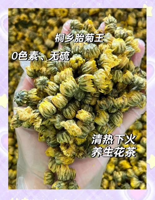 口腔溃疡能喝菊花茶吗?