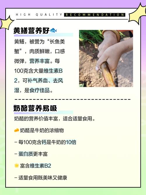 哪些食物富含维生素B1?