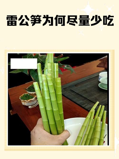 竹笋与哪些食物同食会引发不适?