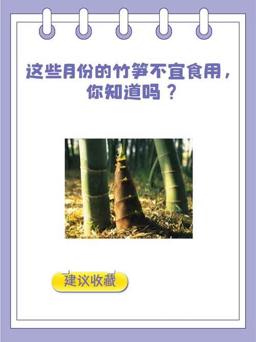 竹笋与哪些食物同食会引发不适?