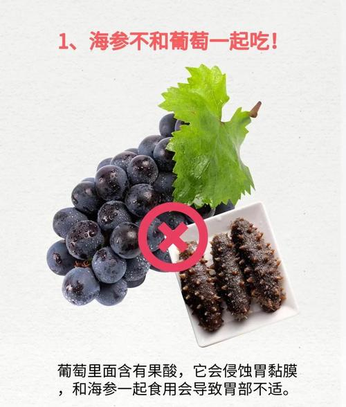 海参忌搭六食?真相何在?