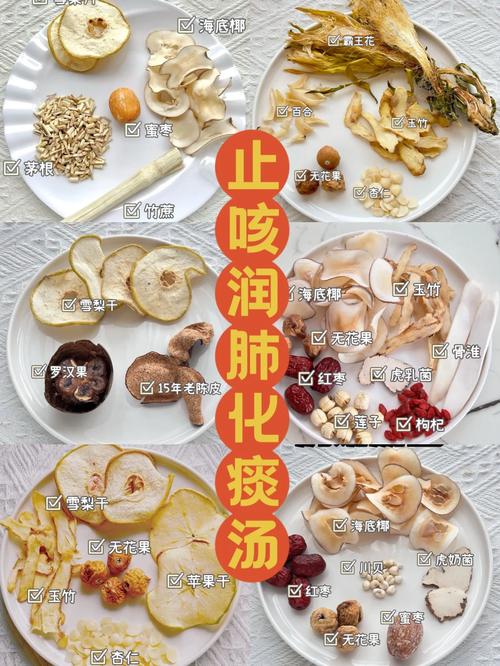 哪些食物能润肺止咳化痰?