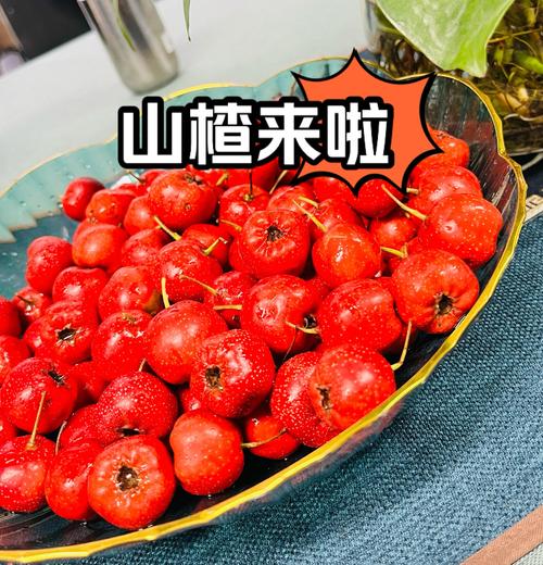 山楂降甘油三酯真最快吗?