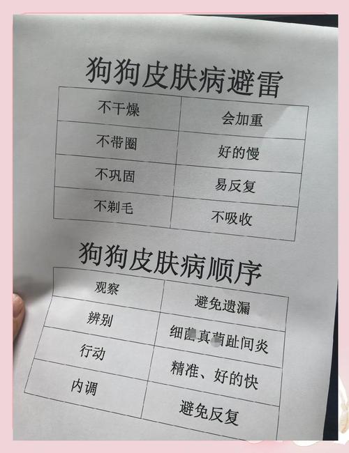 流浪狗皮肤病怎么处理?快速有效方法是什么?