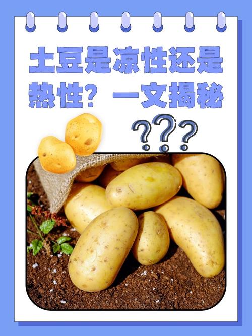 土豆到底是碱性还是酸性食物?