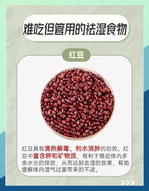 什么食物能快速有效去除体内湿气?