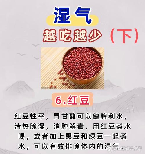 什么食物能快速有效去除体内湿气?