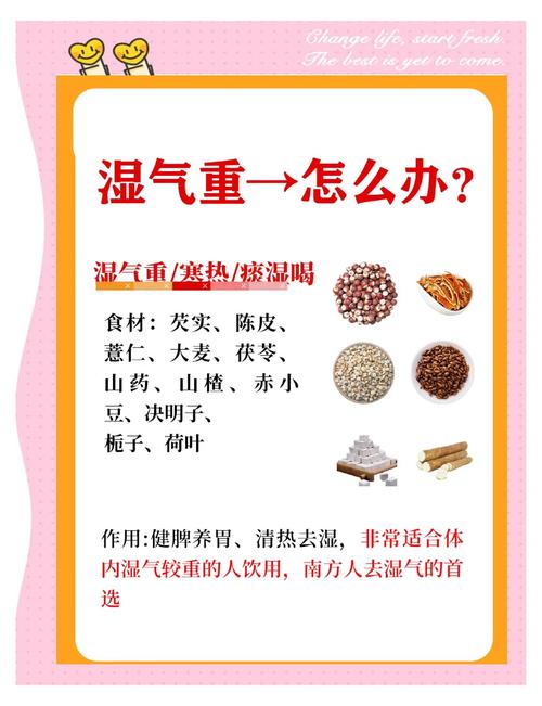 什么食物能快速有效去除体内湿气?