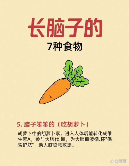 对神经系统有好处的食物