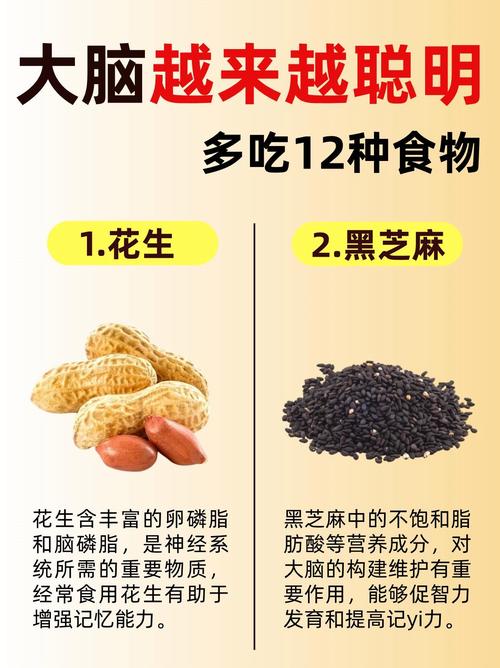 十种补脑食物真越吃越聪明吗?