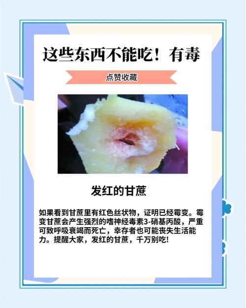 哪些食物同食会引发剧毒?