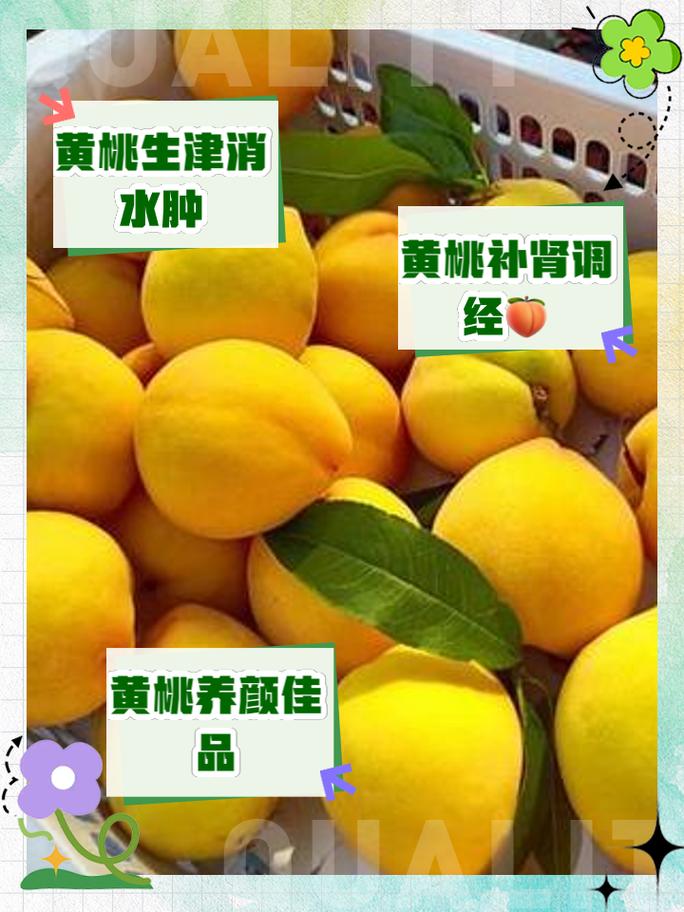 口腔溃疡能吃黄桃吗?会加重疼痛吗?