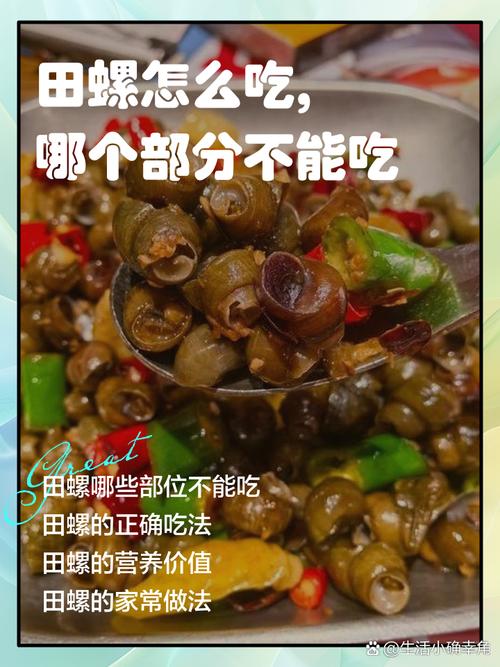 田螺不能与什么食物同吃?