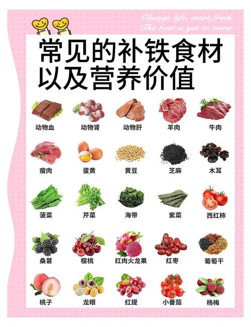 含铁量丰富的食物有哪些