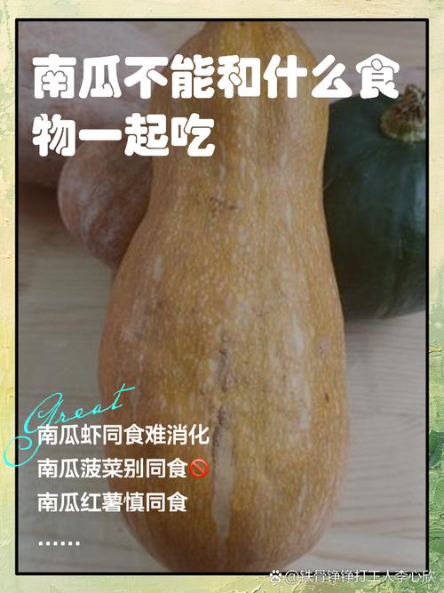 南瓜不能与什么食物同食