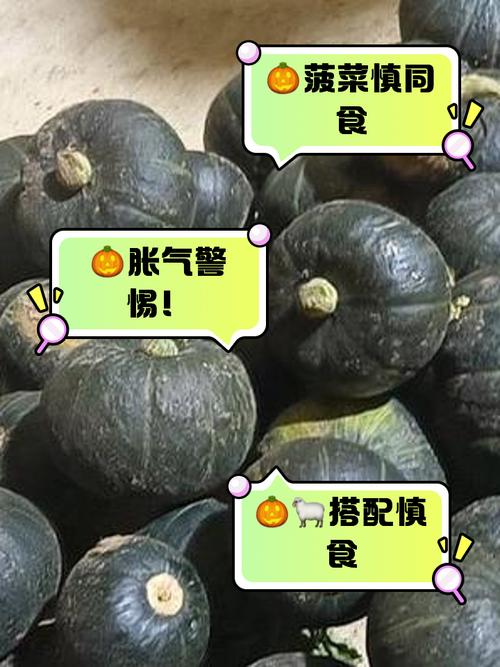 南瓜不能与什么食物同食