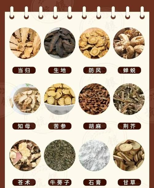 皮肤过敏治疗中药偏方