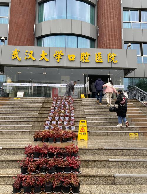 武大口腔陈小晖擅长哪些口腔问题?