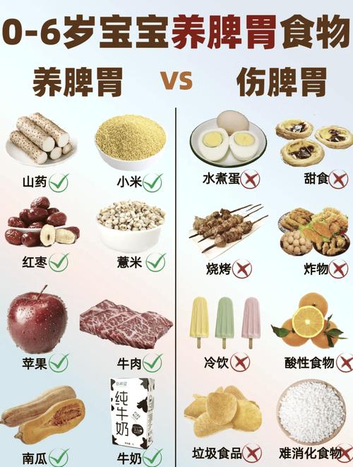 肠胃功能紊乱吃什么食物