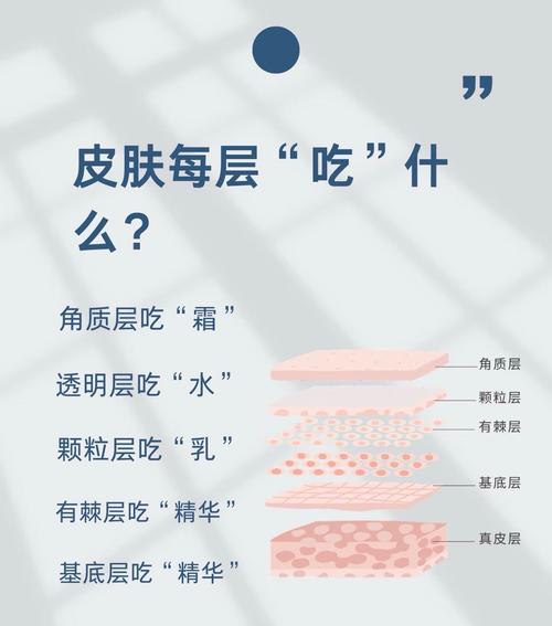 吃什么能增加皮肤弹性