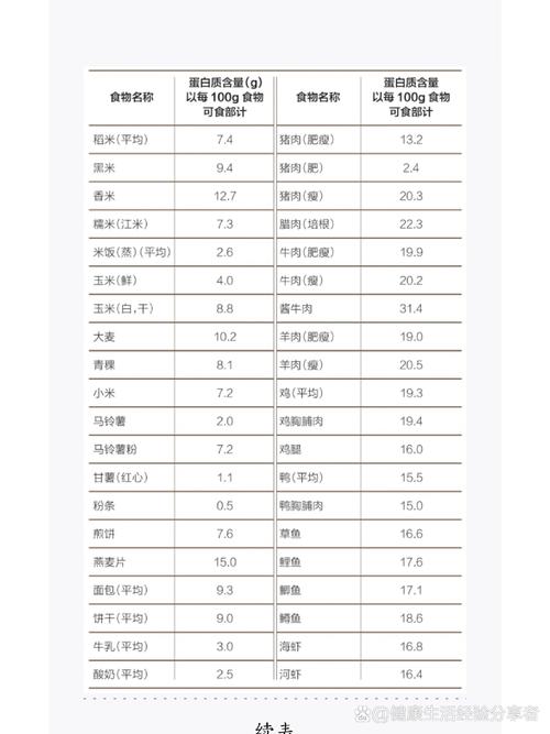 什么食物蛋白质含量最高