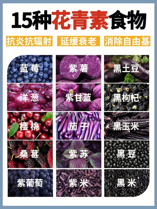 哪些食物富含花青素?