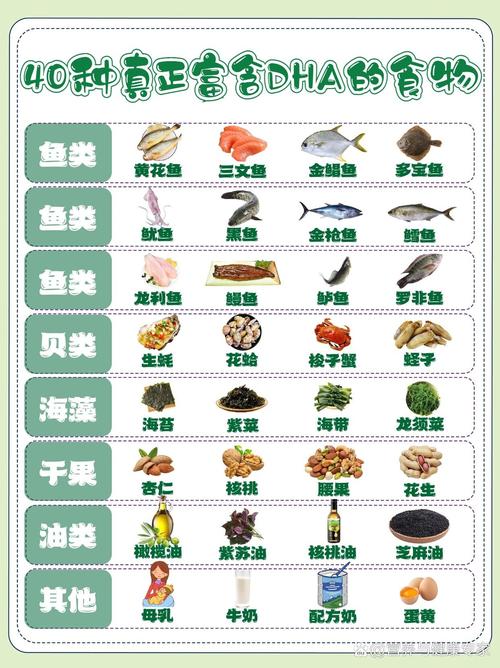 什么食物含dha比较高
