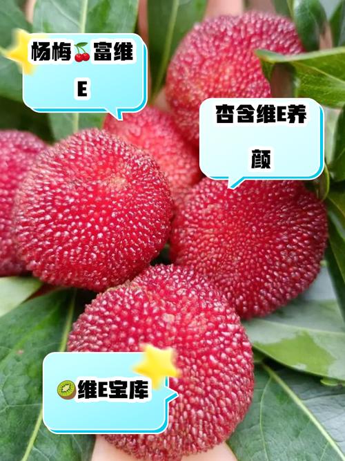 哪些食物含维生素E最多?