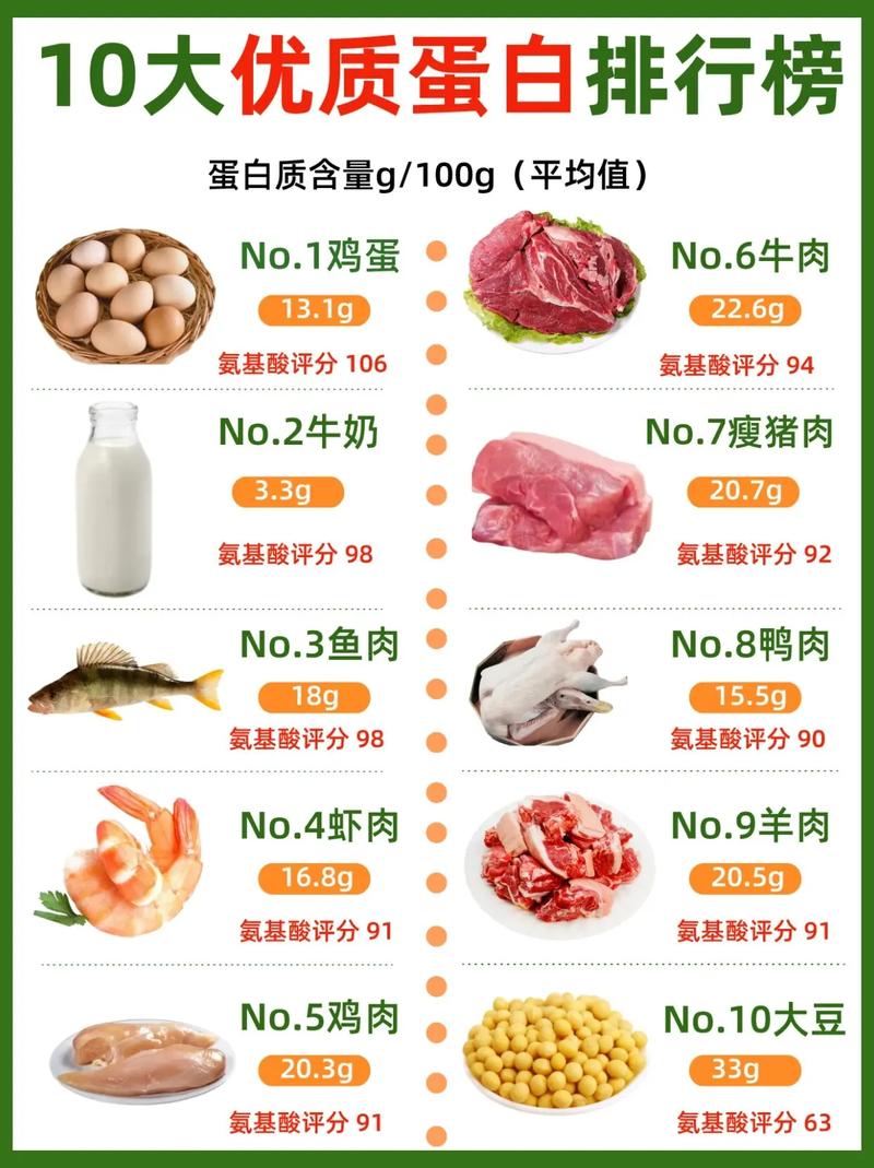 哪些食物蛋白质含量最高?