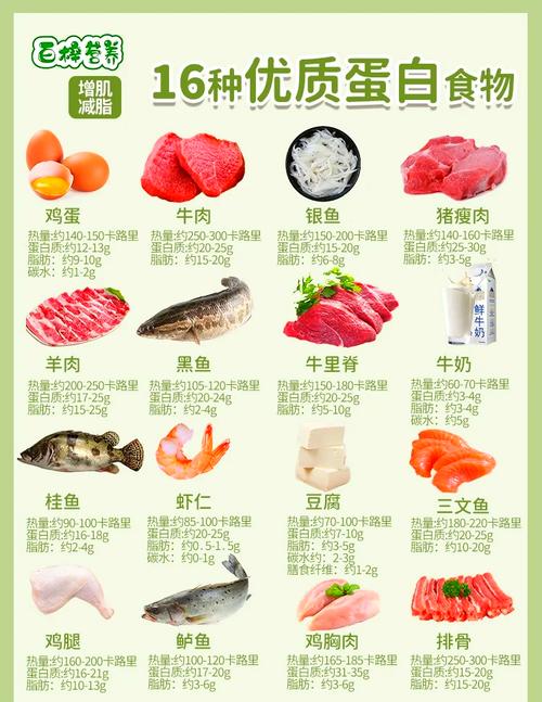 哪些食物蛋白质含量最高?