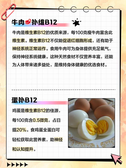 哪些食物富含维生素B12?