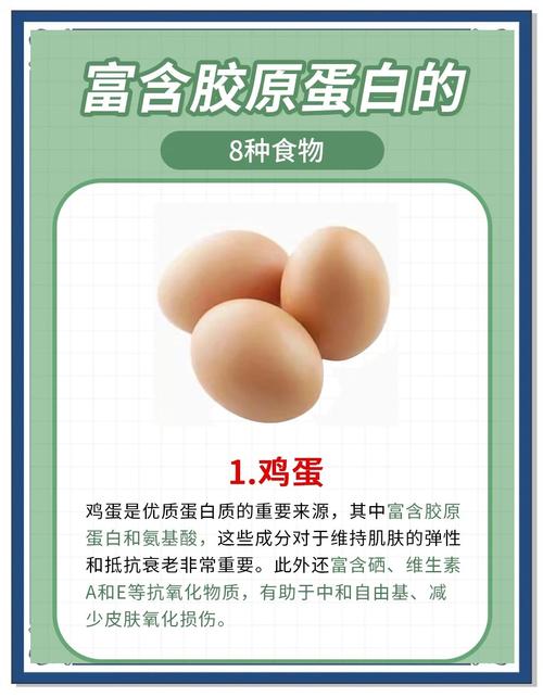 哪些食物胶原蛋白含量高?