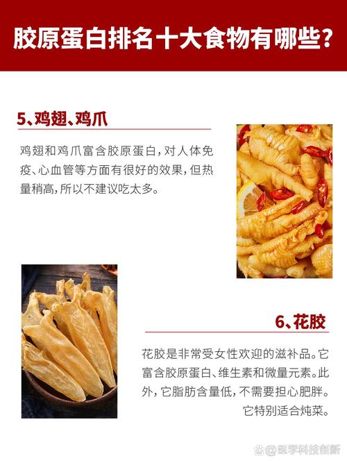 哪些食物胶原蛋白含量高?