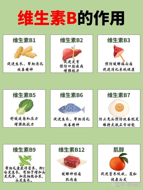 富含维生素B的食物,具体有哪些?