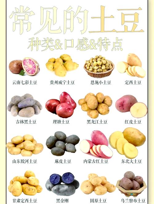 土豆到底是酸性还是碱性?